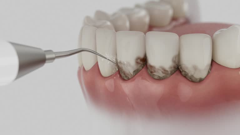 Reliable Dental contractor in Greenwood, MO by Dentist Open Now